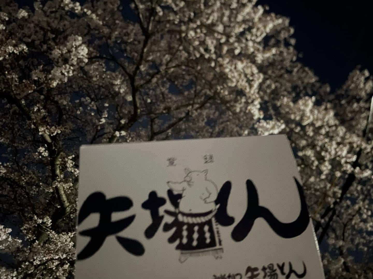 お花見はもうされましたか🌸🌸